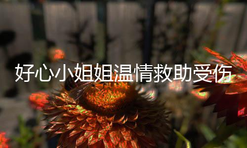 好心小姐姐溫情救助受傷外賣小哥