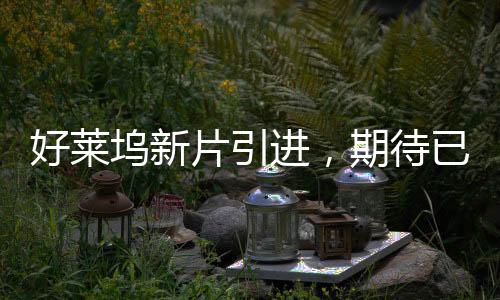 好萊塢新片引進(jìn)，期待已久的大片盛宴即將上演