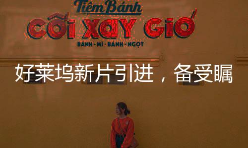 好萊塢新片引進(jìn)，備受矚目的電影盛宴即將開啟