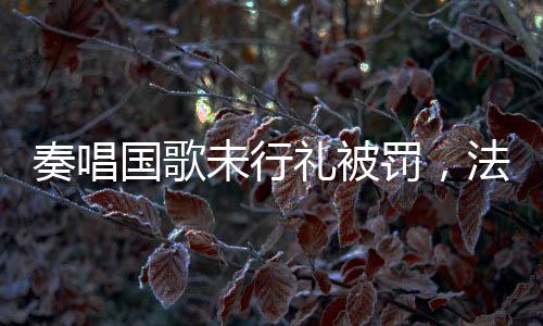 奏唱國歌未行禮被罰，法律意識的覺醒與社會(huì)責(zé)任的體現(xiàn)