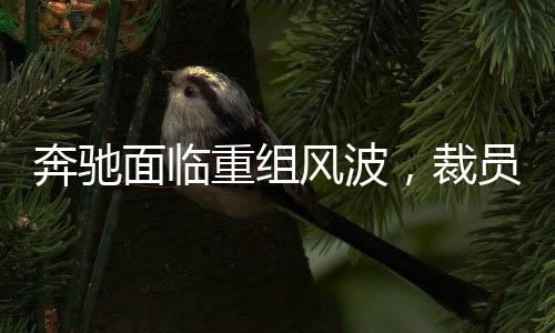 奔馳面臨重組風(fēng)波，裁員15%賠償N+9政策揭秘
