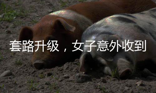 套路升級，女子意外收到騙子五十萬元轉(zhuǎn)賬，一場充滿智慧的博弈揭秘