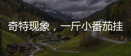 奇特現(xiàn)象，一斤小番茄掛地鐵門把手，下車后只剩半斤