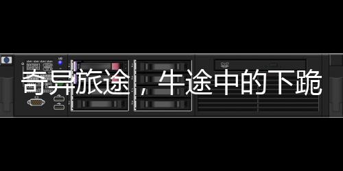 奇異旅途，牛途中的下跪驚呆主人