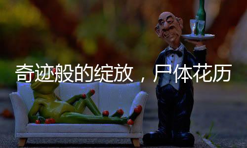 奇跡般的綻放，尸體花歷經(jīng)十五年終盛開