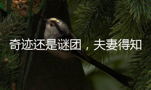 奇跡還是謎團(tuán)，夫妻得知女兒已死35年后復(fù)活