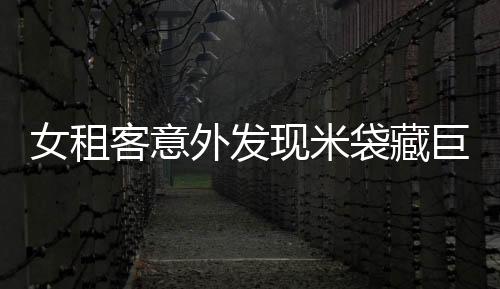 女租客意外發(fā)現(xiàn)米袋藏巨款，揭開(kāi)神秘事件背后的故事