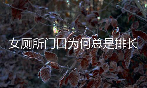 女廁所門口為何總是排長隊？背后的真相探尋