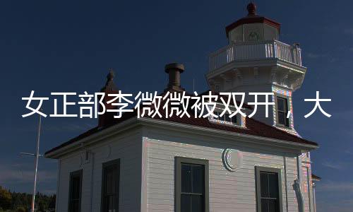 女正部李微微被雙開，大搞全家腐事件深度解析