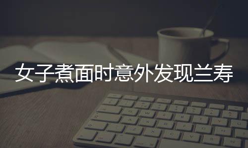 女子煮面時意外發(fā)現(xiàn)蘭壽金魚，品嘗時嗦掉半根面條——一次美食與意外的獨特經(jīng)歷
