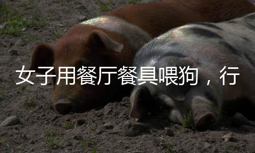 女子用餐廳餐具喂狗，行為引發(fā)熱議