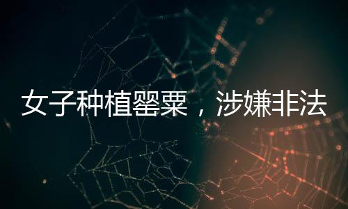 女子種植罌粟，涉嫌非法種植的九百余株隱患解析