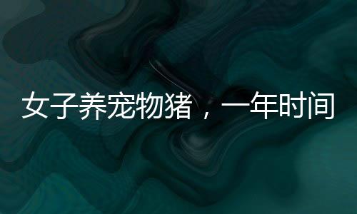 女子養(yǎng)寵物豬，一年時間猛長到300多斤，寵物養(yǎng)肥記