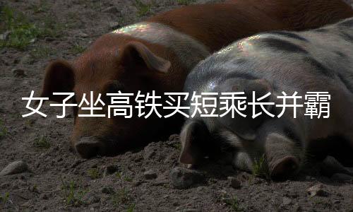女子坐高鐵買短乘長并霸座被行拘