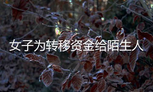 女子為轉移資金給陌生人匯款達1.7億，巨額交易背后的真相