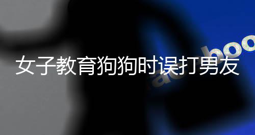 女子教育狗狗時誤打男友，引發(fā)家庭溝通重要性探討
