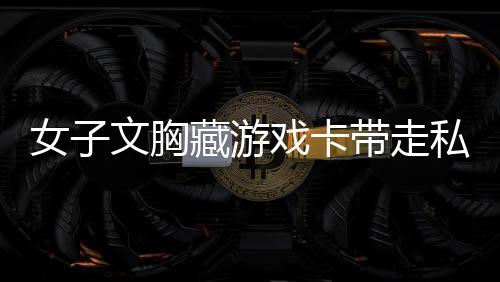 女子文胸藏游戲卡帶走私，游戲界的巨大黑幕揭秘（含曝光內(nèi)容）