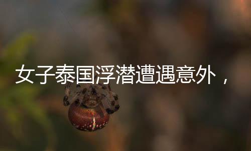 女子泰國浮潛遭遇意外，腦死亡悲劇震驚旅游圈