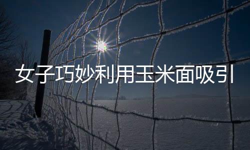 女子巧妙利用玉米面吸引二級保護(hù)動物，人與自然的和諧新篇章