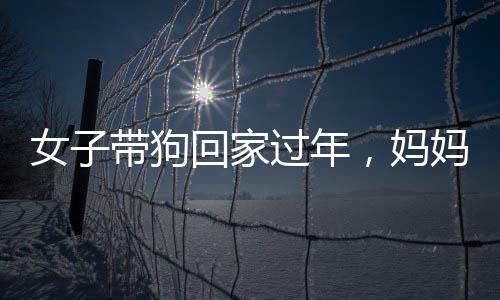 女子帶狗回家過(guò)年，媽媽反應(yīng)成亮點(diǎn)新聞