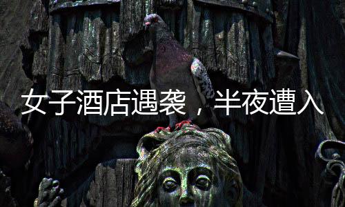 女子酒店遇襲，半夜遭入室猥褻事件揭秘，警方迅速介入調(diào)查