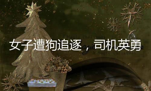 女子遭狗追逐，司機(jī)英勇驅(qū)趕——善良與勇敢在我們身邊