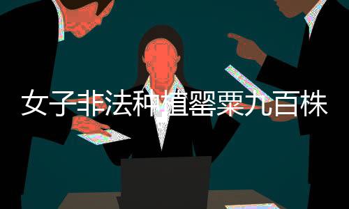 女子非法種植罌粟九百株，法律嚴懲不貸