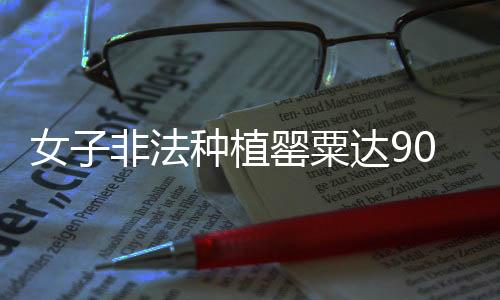 女子非法種植罌粟達(dá)900余株，涉嫌違法被查處