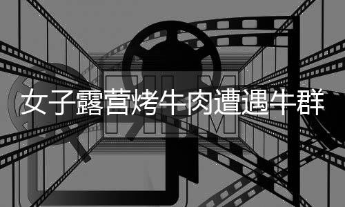 女子露營烤牛肉遭遇牛群突襲，牛肉被吃光