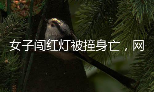 女子闖紅燈被撞身亡，網(wǎng)約車需賠50萬，一起交通事故引發(fā)的深思