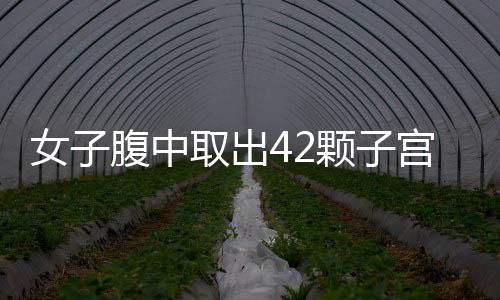 女子腹中取出42顆子宮肌瘤，現(xiàn)代醫(yī)學(xué)的奇跡與女性的健康警示