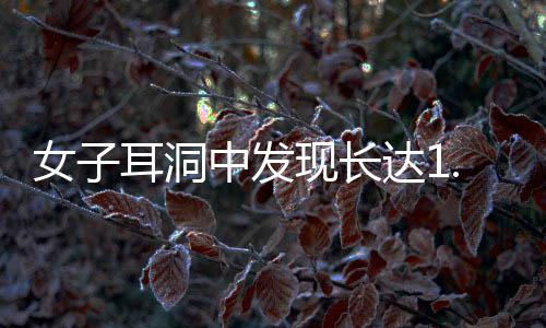 女子耳洞中發(fā)現(xiàn)長達1.5厘米的瘤狀物，醫(yī)學(xué)界正對其進行研究探討