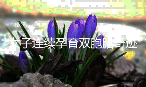 女子連續(xù)孕育雙胞胎奇跡，四個(gè)月再迎新生兒誕生！