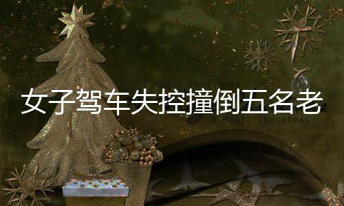 女子駕車失控撞倒五名老人事件紀(jì)實(shí)