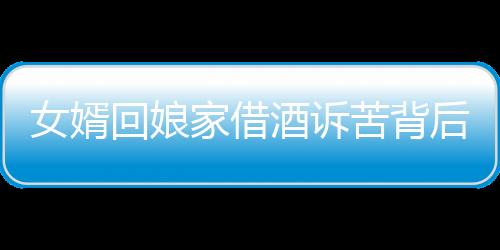 女婿回娘家借酒訴苦背后的故事與情感解析