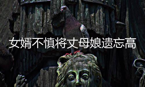 女婿不慎將丈母娘遺忘高速，緊急救援與溫馨提醒