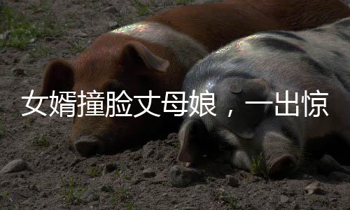 女婿撞臉丈母娘，一出驚人的相似性引發(fā)熱議