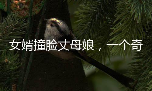 女婿撞臉丈母娘，一個(gè)奇特的現(xiàn)象觀察與深度解析