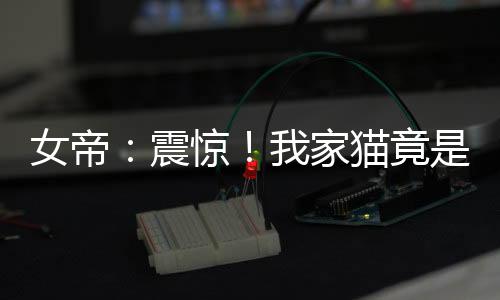 女帝：震驚！我家貓竟是旅行神獸