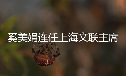 奚美娟連任上海文聯(lián)主席，文藝界的璀璨明星續(xù)寫(xiě)新篇章