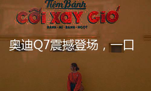 奧迪Q7震撼登場(chǎng)，一口價(jià)45.99萬(wàn)起，豪華SUV新選擇
