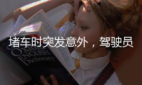 堵車(chē)時(shí)突發(fā)意外，駕駛員與大鵝發(fā)生沖突