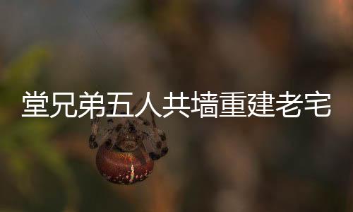 堂兄弟五人共墻重建老宅，團結(jié)之力重塑家園記憶，耗資約200萬