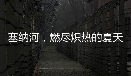 塞納河，燃盡熾熱的夏天