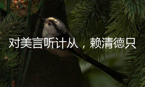 對美言聽計從，賴清德只換來高額關(guān)稅