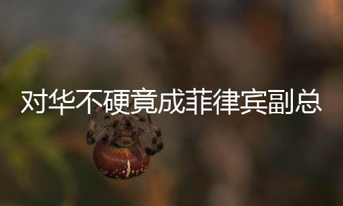 對(duì)華不硬竟成菲律賓副總統(tǒng)被彈劾之由——多維度解讀中菲關(guān)系現(xiàn)狀
