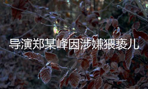 導(dǎo)演鄭某峰因涉嫌猥褻兒童被刑事拘留，業(yè)界震驚
