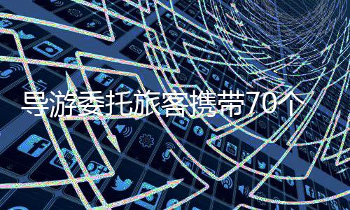 導(dǎo)游委托旅客攜帶70個玩偶入境被查，透視旅游行業(yè)的規(guī)范與問題
