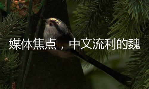 媒體焦點(diǎn)，中文流利的魏德爾搶盡風(fēng)頭