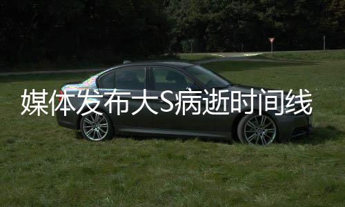 媒體發(fā)布大S病逝時間線
